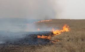 Wildfire risk rises amid dryness and strong wind